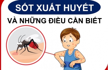 Trường Mầm Non Việt Anh và Công Tác Truyền Thông Phòng Chống Bệnh Sốt Xuất Huyết