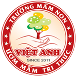 TRƯỜNG MẦM NON VIỆT ANH